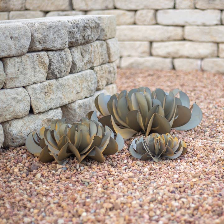 Desert Steel - Vente Plantes artificielles - Succulente Topsy Turvy4