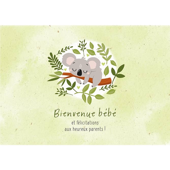 Art Grafik - Wholesale Everyday Greeting Card - Assortiment botanic CARDS 35 modèles (par 5)1