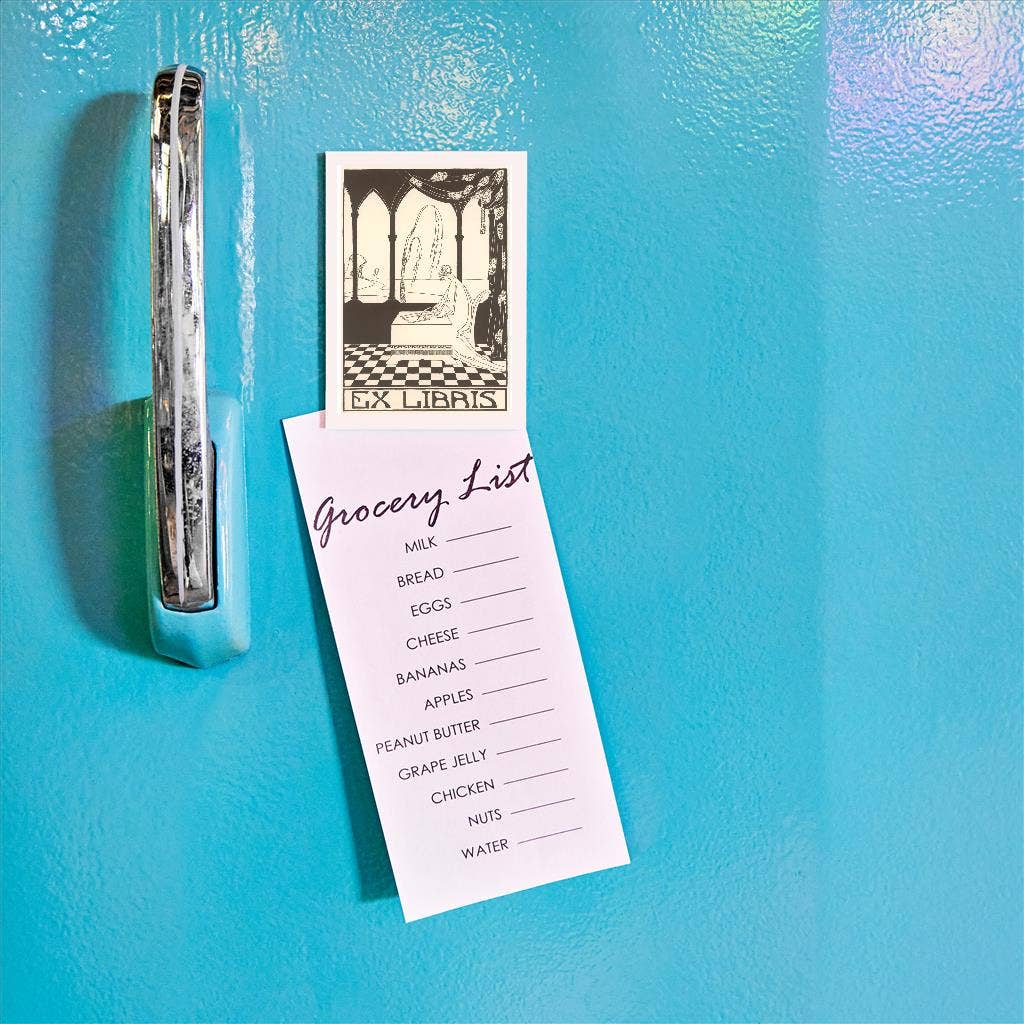 Found Image Press – wholesale Magnet – Magnet LT-179 Ex Libris, Woman Writing in Book1