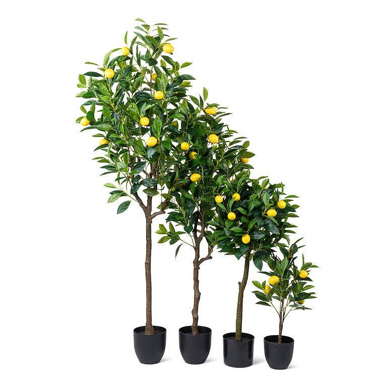Abbott – wholesale Artificial plant – Medium Lemon Tree-47"H2