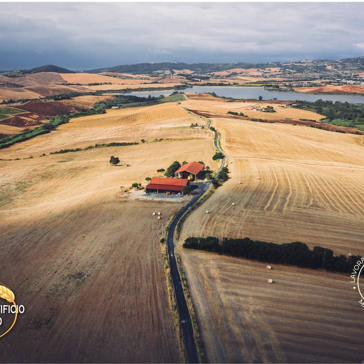 Az BIOAgricola Bertoli - Wholesale Pasta - Pennoni Organic Tuscan Italian Artisan Pasta9