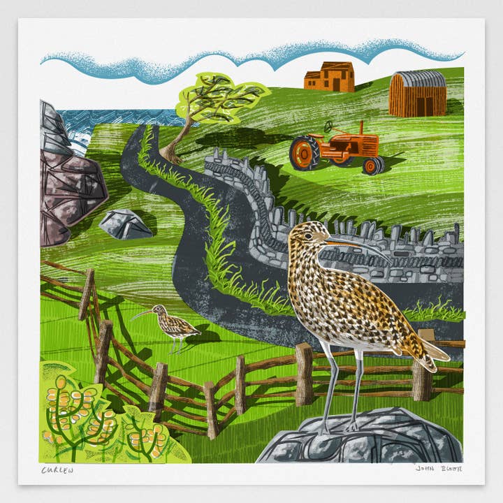 John Bloor Printmaker - Wholesale Art Print - Curlew digitally printed print, British coastal bird