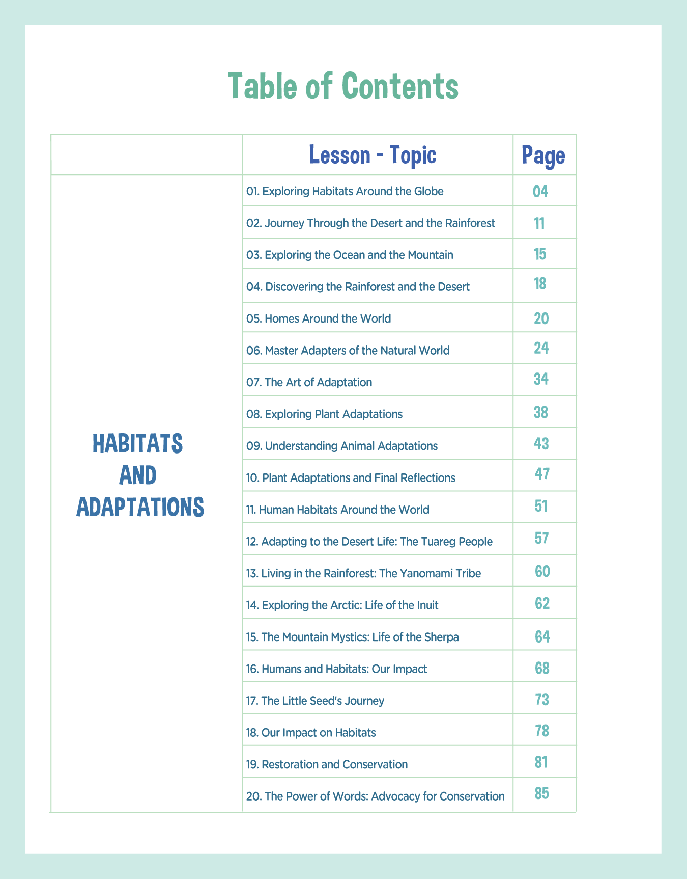 Brings Joy Learning - Wholesale Education - 1st Grade Unit 3: Nature's Symphony3