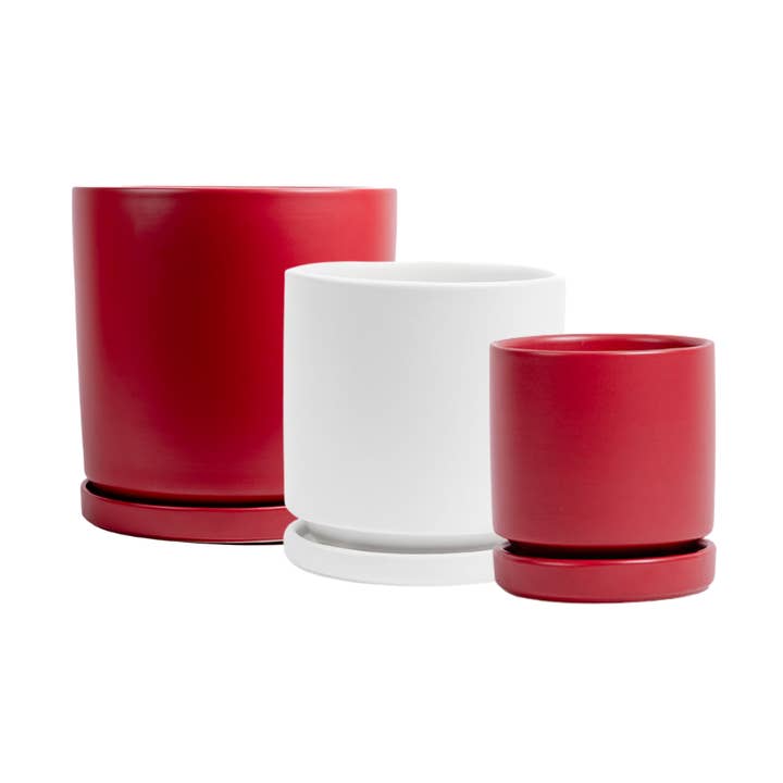Momma Pots - Wholesale Plant Pot - 8.5"+10.5"+12.5" Cylinder Pots w/ Water Saucers (1pc each) 3