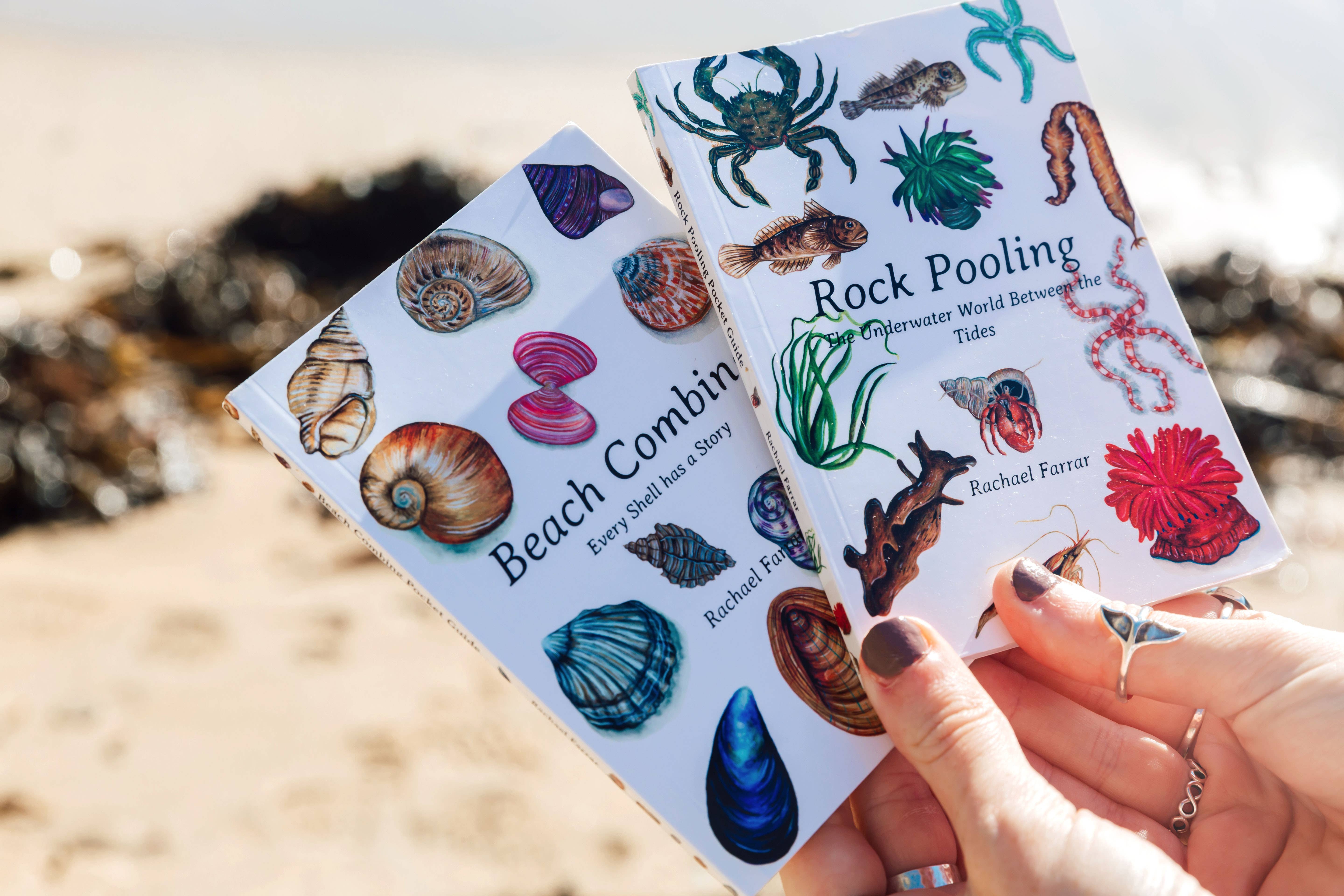 Rachael Farrar Artist – wholesale Nature and outdoors – Beach Combing Pocket Guide5