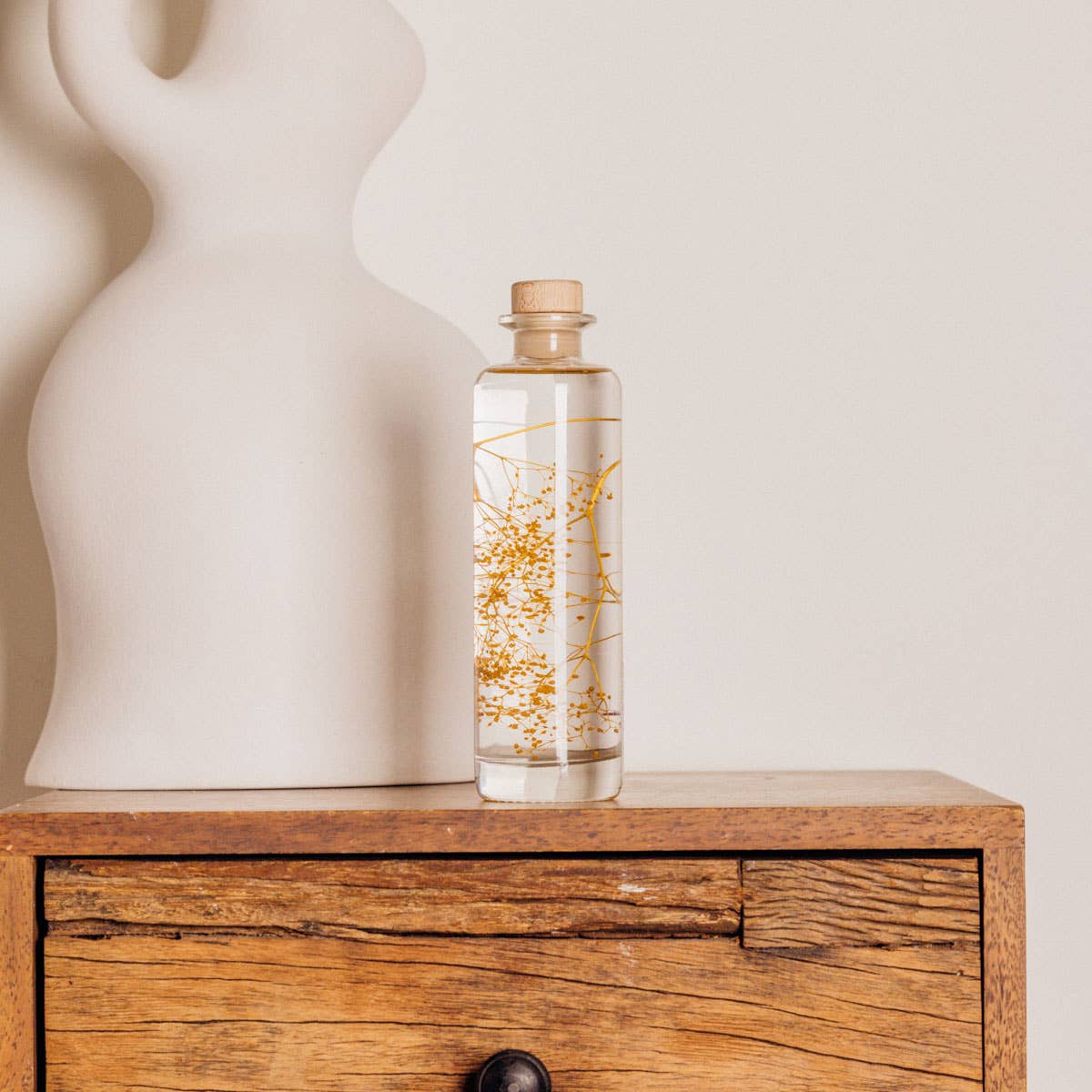 Theophile Berthon - Vente Plante - L'Herbarium Gypsophile safran - plante immergée1