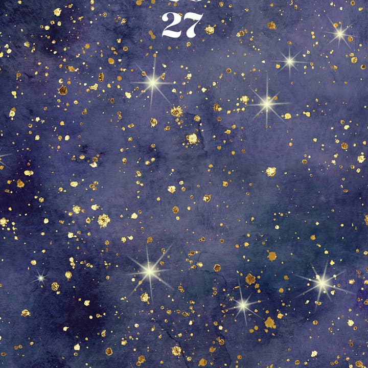 Starry Night 2-Year 2026-27 3.5" x 6.5" Monthly Pocket Planner for wholesale by Willow Creek Press & Gifts