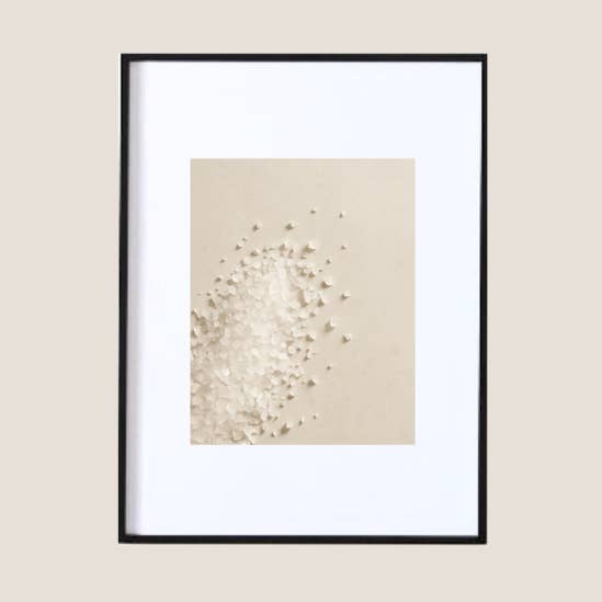 Display Fleur de Sel for wholesale by Absolument