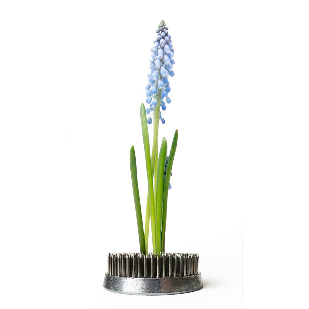 Chive - Wholesale Garden Tool - Kenzan Floral Frog for Vases Stainless Steel Flower Arranger5