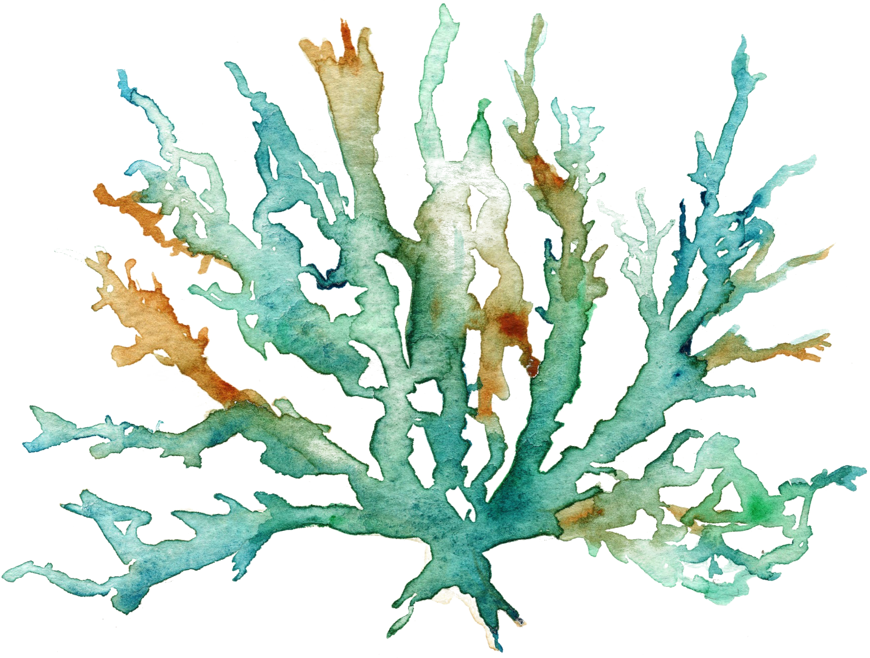 Ox Bow Decor - Wholesale Hand Towel - Nautical/ Variegated Sea Kelp Hand Towel1