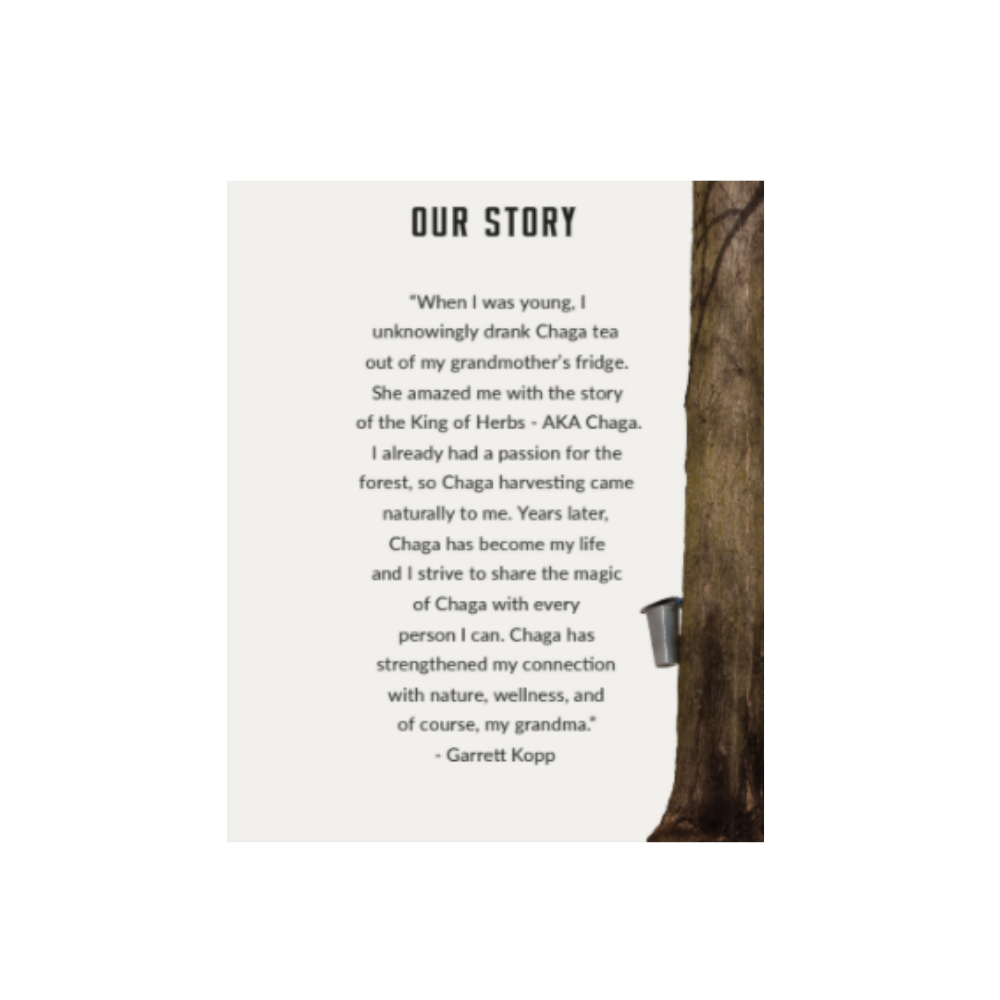 Birch Boys - Wholesale Tea Bags - Maple Chaga Tea Bags3