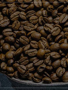 Vanilla Hazelnut for wholesale by Jerry's Coffee Bean Trade