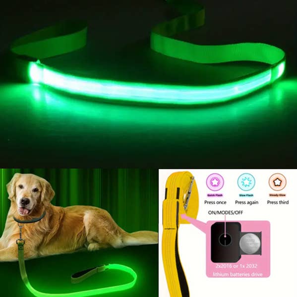 Jewelry Max - Wholesale Pet Leash - Dog - ( #FL07 ) LED GLOW IN THE DARK DOG LEASH