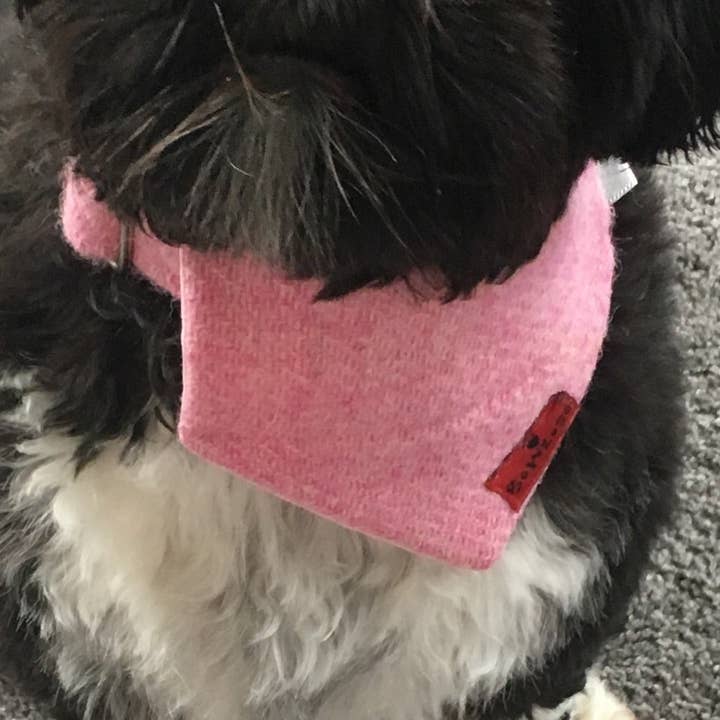 (Rosa) Bowzos Harris Tweed® Bandana - Rosa för wholesale av BOWZOS