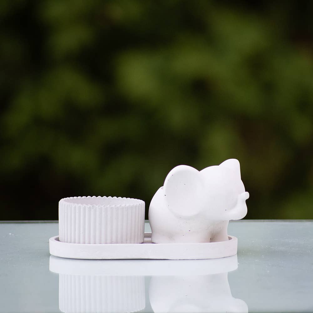 Bella Home Garden Decor - Wholesale Plant Pot - Succulent 3 pc Set 4