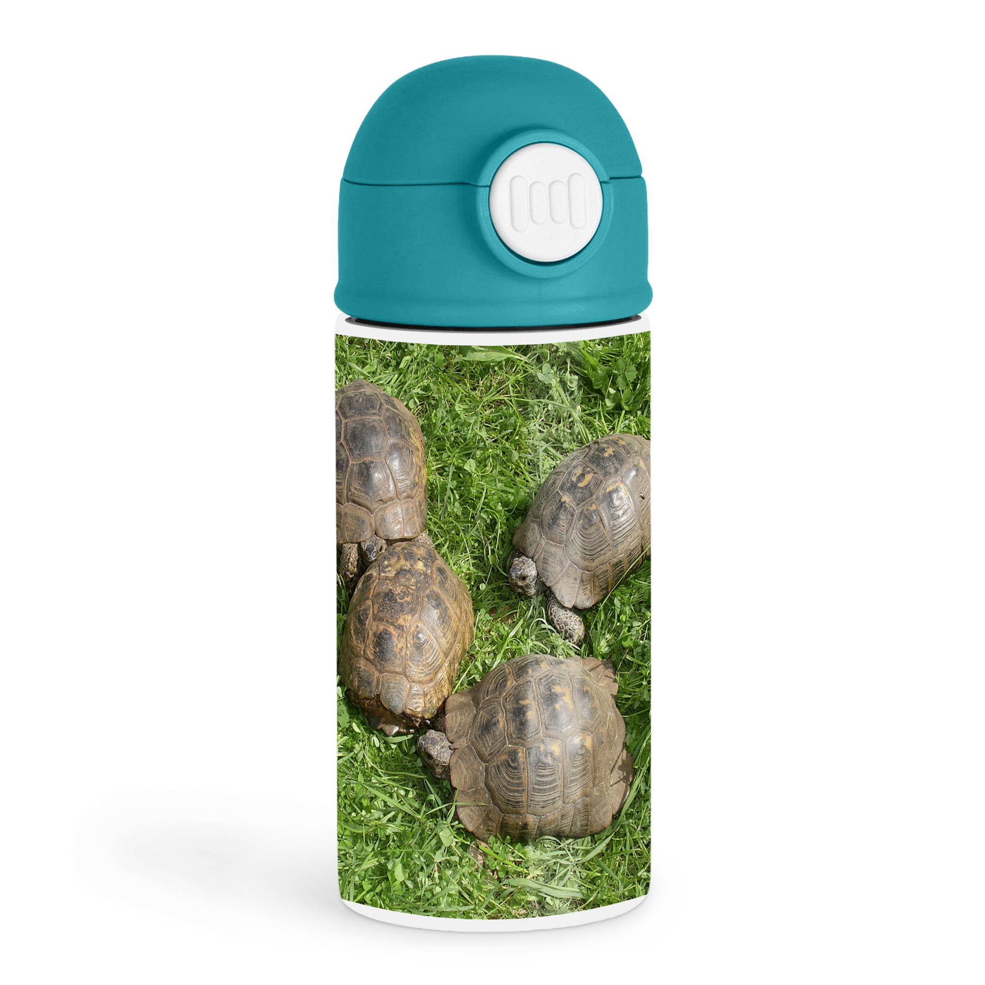 3dRose - Wholesale Water Bottle - 3dRose, Testudo Iberia - animals, ibera greek tortoise, land turtles, reptiles, testudo ibera, tortoise, Kids Water Bottle0