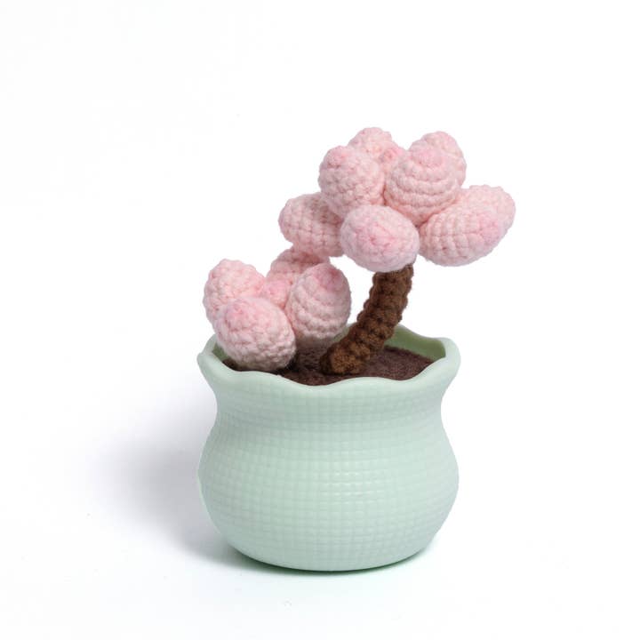 Tranquil Succulent Garden Collection for wholesale by Momo & Loloc Crochet