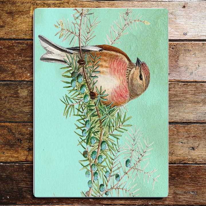 Plaque signalétique en métal bleue Bird Spring Tweet pour la vente par The British Metal Signs Company