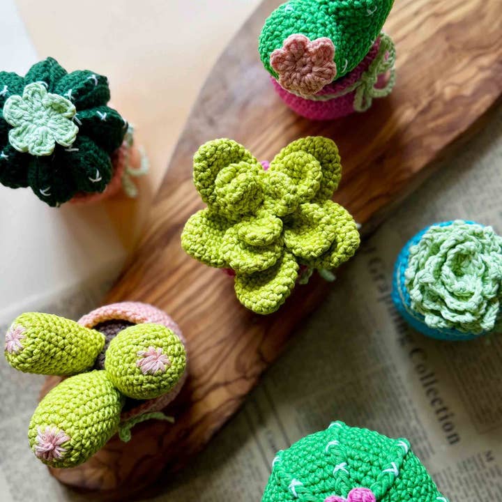 Crochet Cactus, Amigurumi Cactus, Cute Cactus Decor, Gift for wholesale by Anh2 LTD
