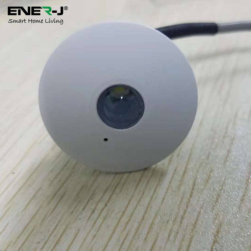 ENER-J – wholesale Flashlight – 3W Emergency Downlight0