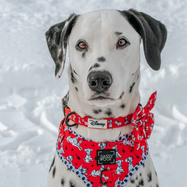 SASSY WOOF - Wholesale Pet Bow Tie - Dog - Dog Sailor Bow - Disney's 101 Dalmatians7