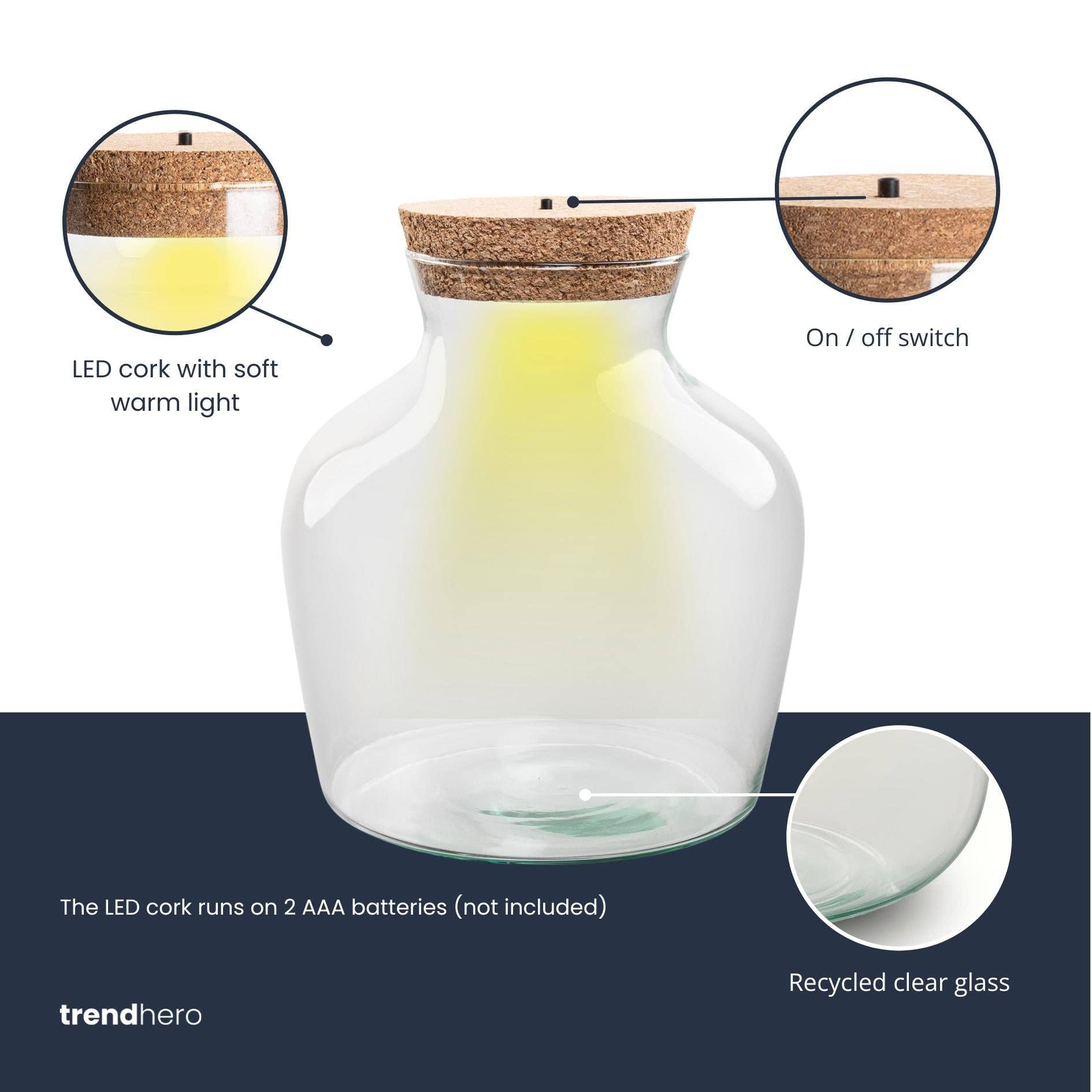 Oasis of Life - Wholesale Terrarium - Bottle Garden – Terrarium Bottle made of Recycled Glass with LED Cork – Height 22cm Ø20cm – Decorative Glass Container with Lighting – Self-Sustaining Plant Terrarium1