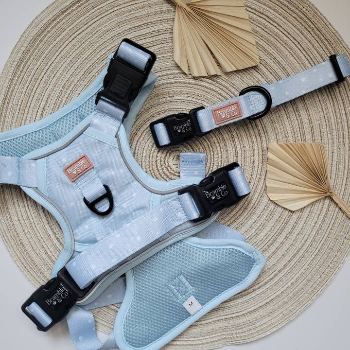 Bramble & Co - Wholesale Pet Collar - Dog - Adjustable Collar - Beachy Blue8