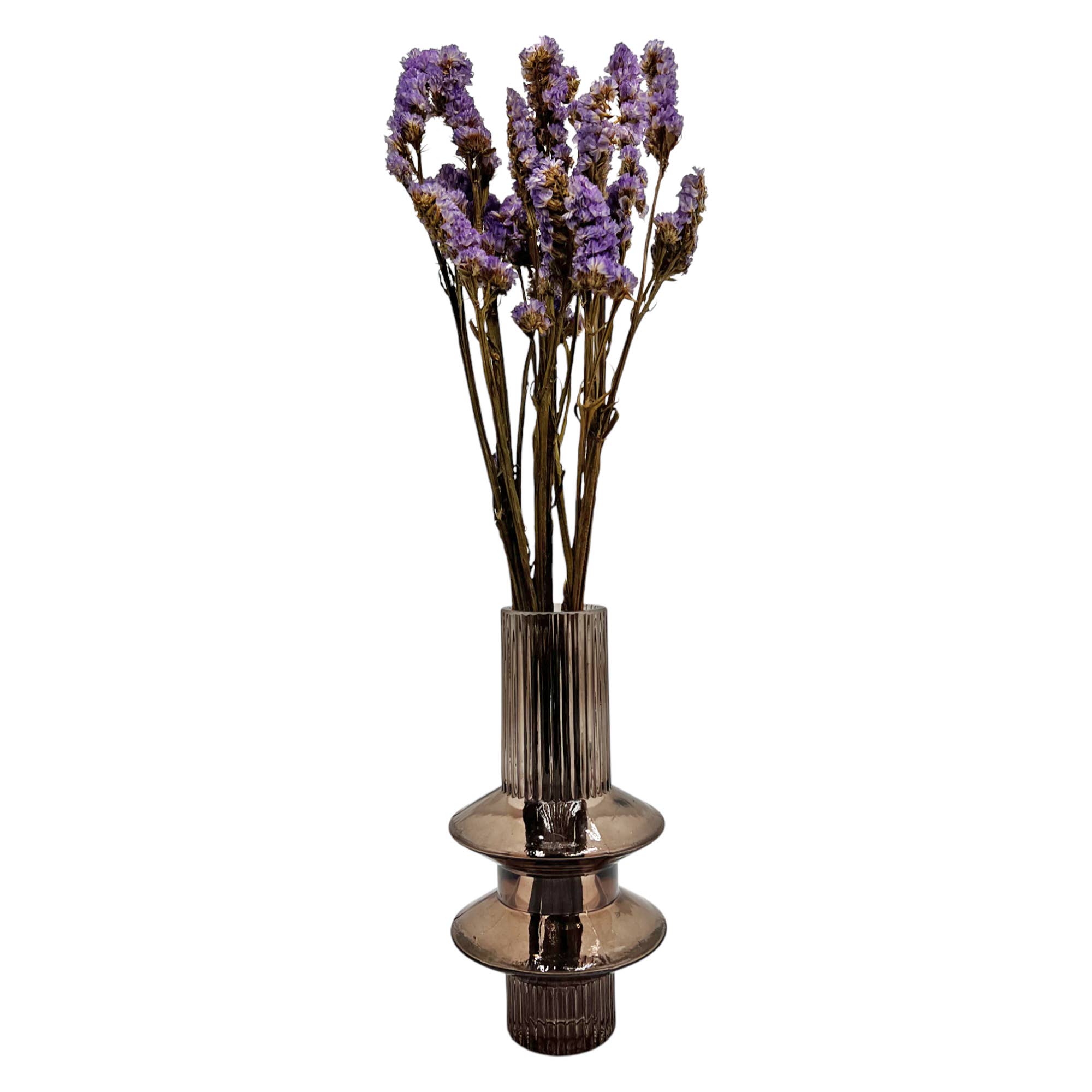 2626 Designs – Flores secas/prensadas por atacado – Ramos de Miosótis Preservados Secos 53 cm Várias Cores7