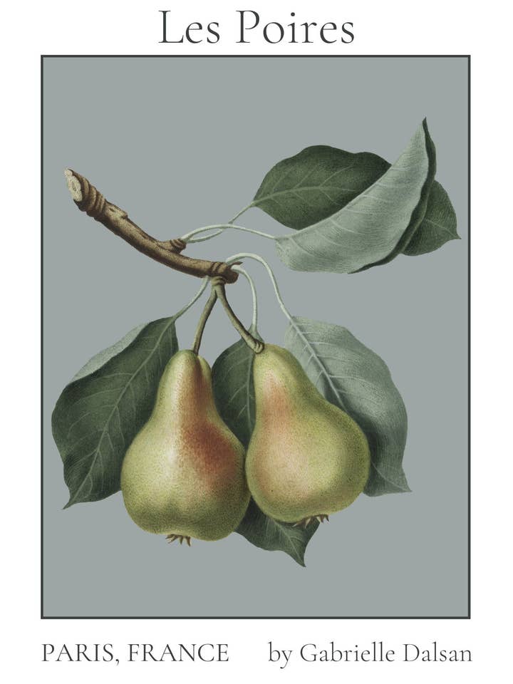 Les Poires' by Gabrielle Dalsan. Minimal Flower Wall Art. Vintage Art Print. Vintage Print. French. Mothers Day gift for wholesale by Gabrielle Dalsan