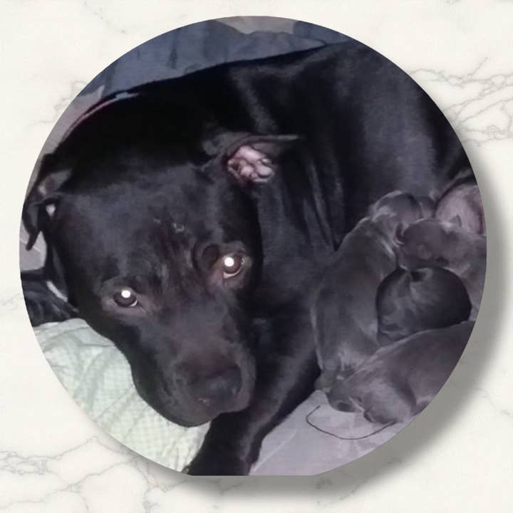 Monumental Prints & Pins - Wholesale Compact mirror - Personalized Mirrors-3” Rounds1