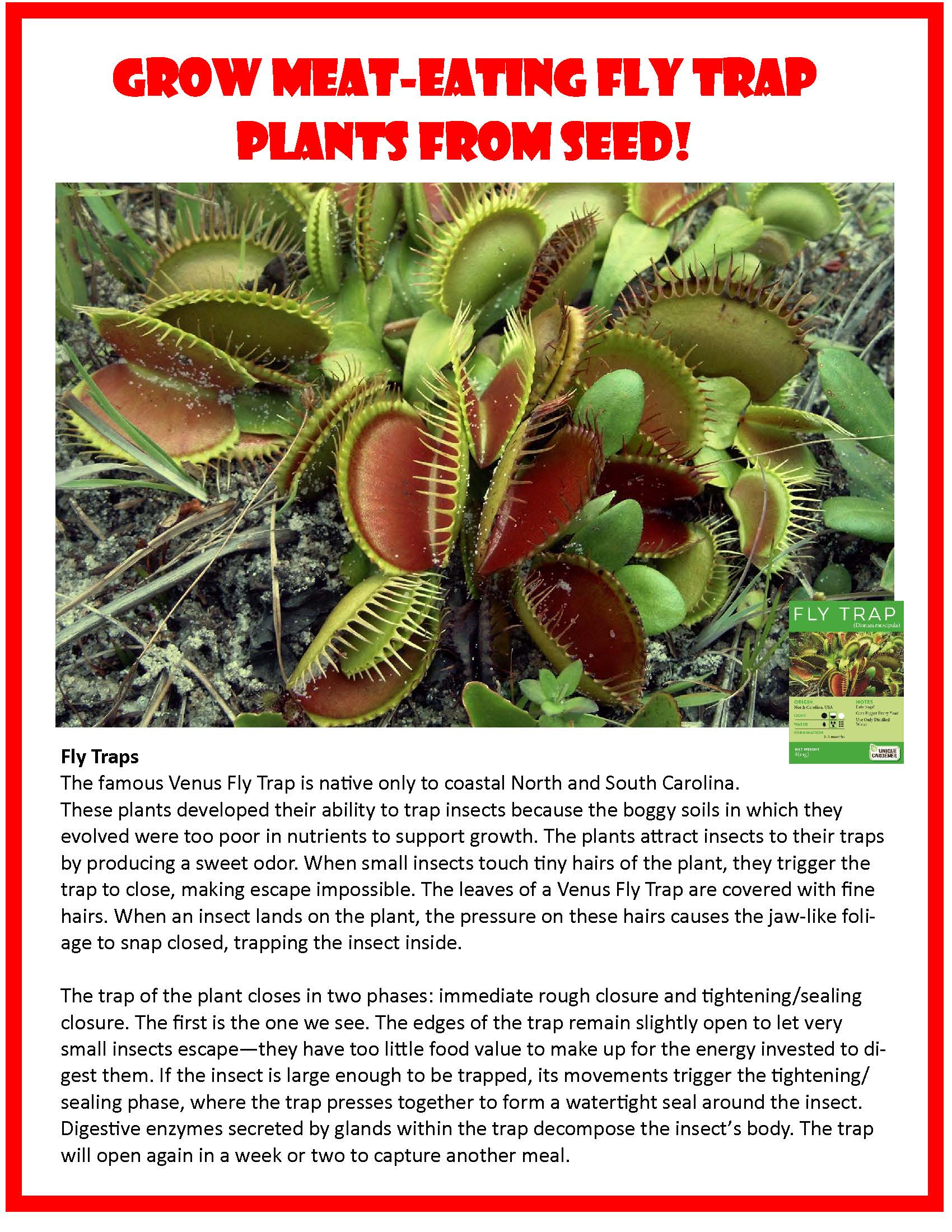 Silver Circle Products - Vente Terrariums - Kit de graines pour terrarium en verre Flytraps6