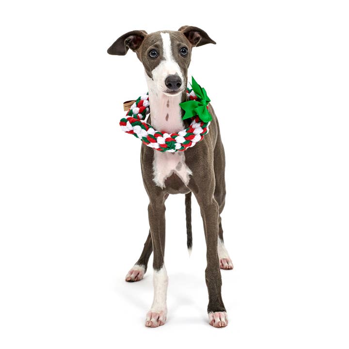 Jax & Bones - Wholesale Pet Rope Toy - Dog - Holiday Heart Rope Toy (One Size)1