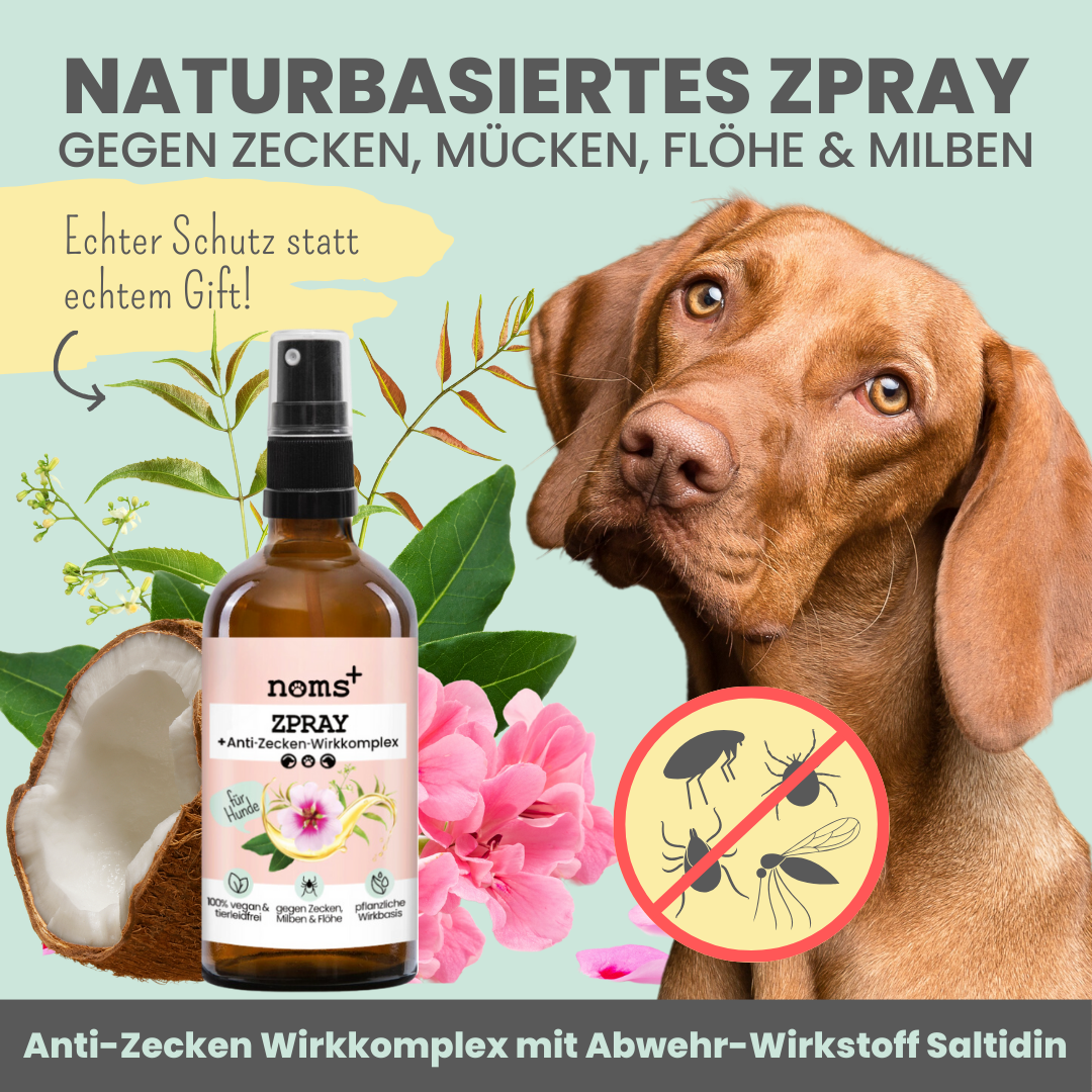 Noms+ - Wholesale Pet Spray - Dog - Zspray for dogs against ticks, fleas, mites & mosquitoes1