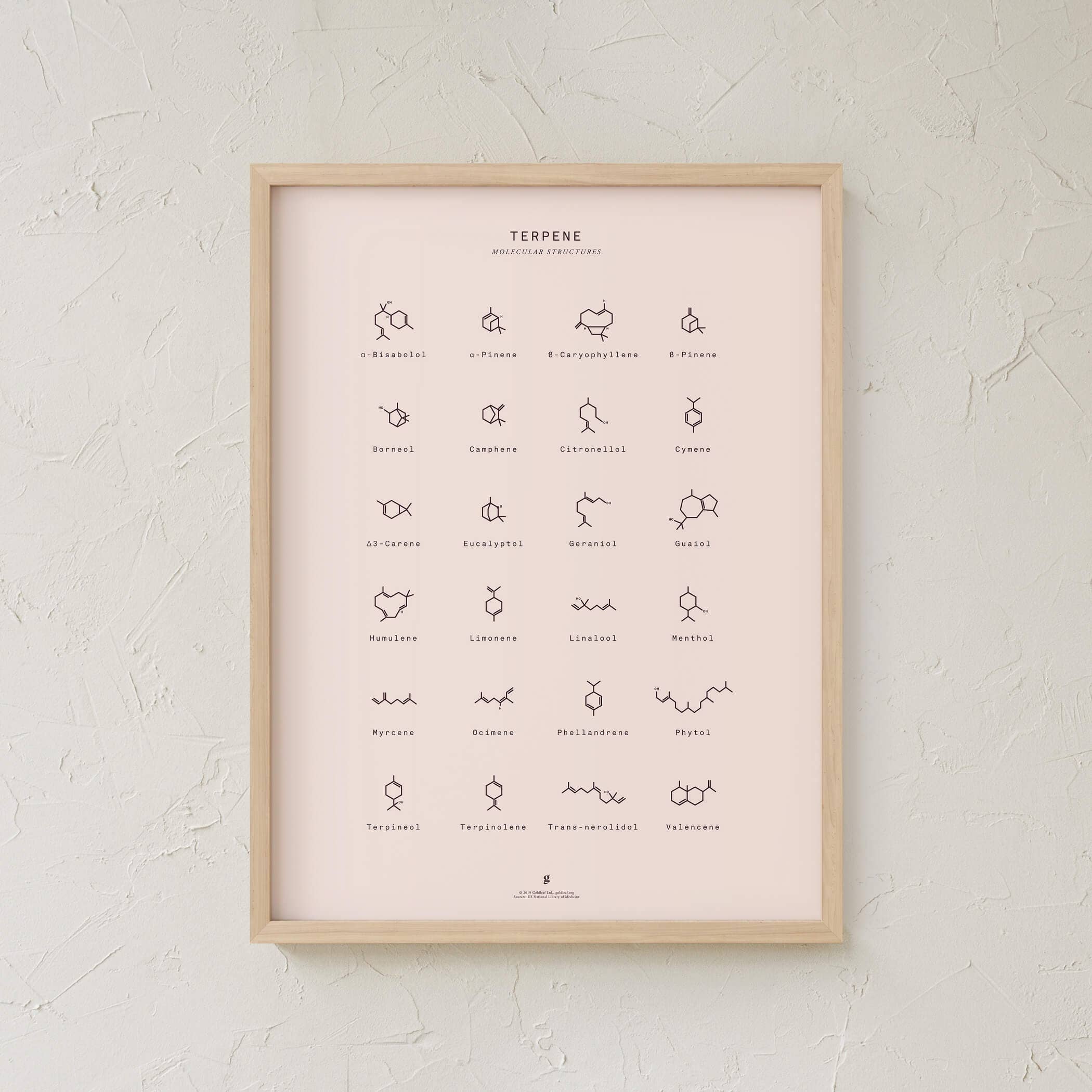 Goldleaf – Großhandel Kunstdruck – Diagramm mit molekularen Terpenstrukturen drucken7