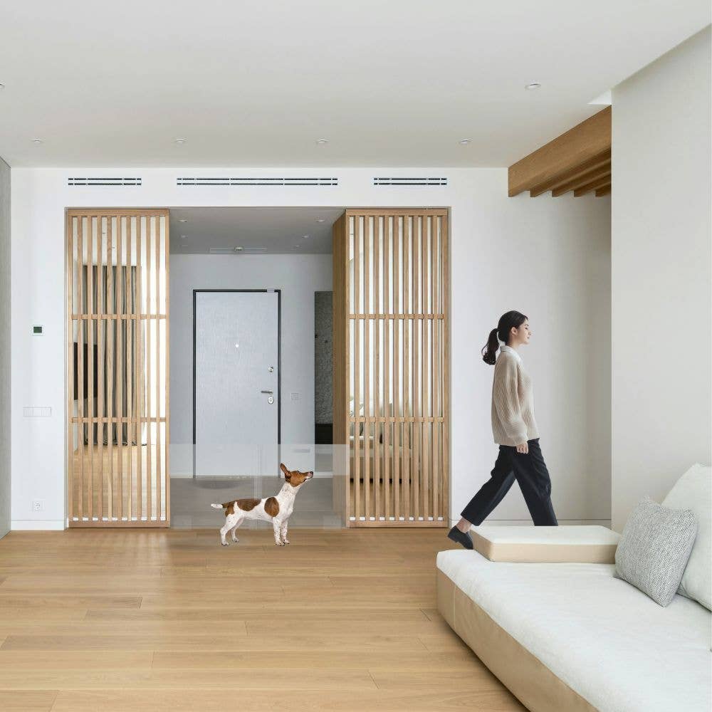 Hiddin - Vente Barrière portative pliable – chien - Portail à Panneaux Hauts6