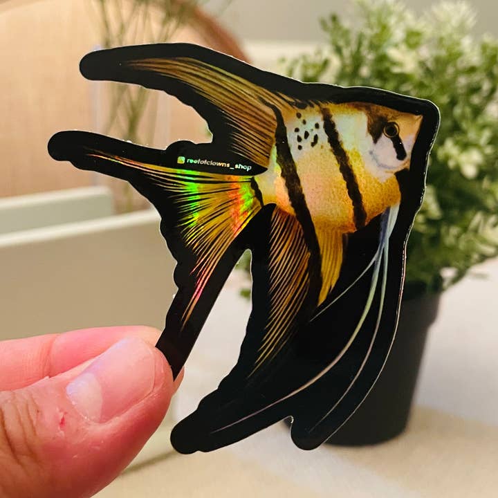 Angelfish Sticker (Holographic) for wholesale by Reef of Clowns