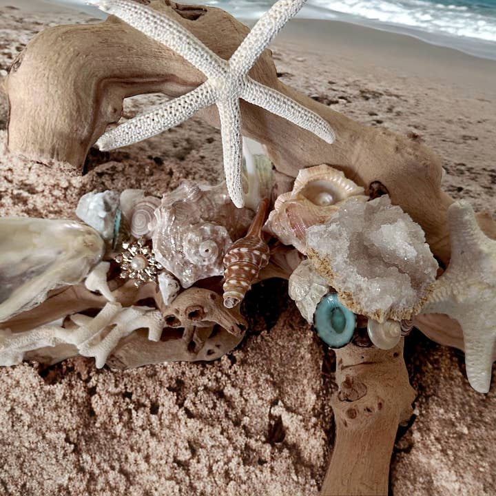 Ocean Whimsy Shop - Wholesale Decorative Tabletop Object - Grapewood and Seashell Centerpiece2