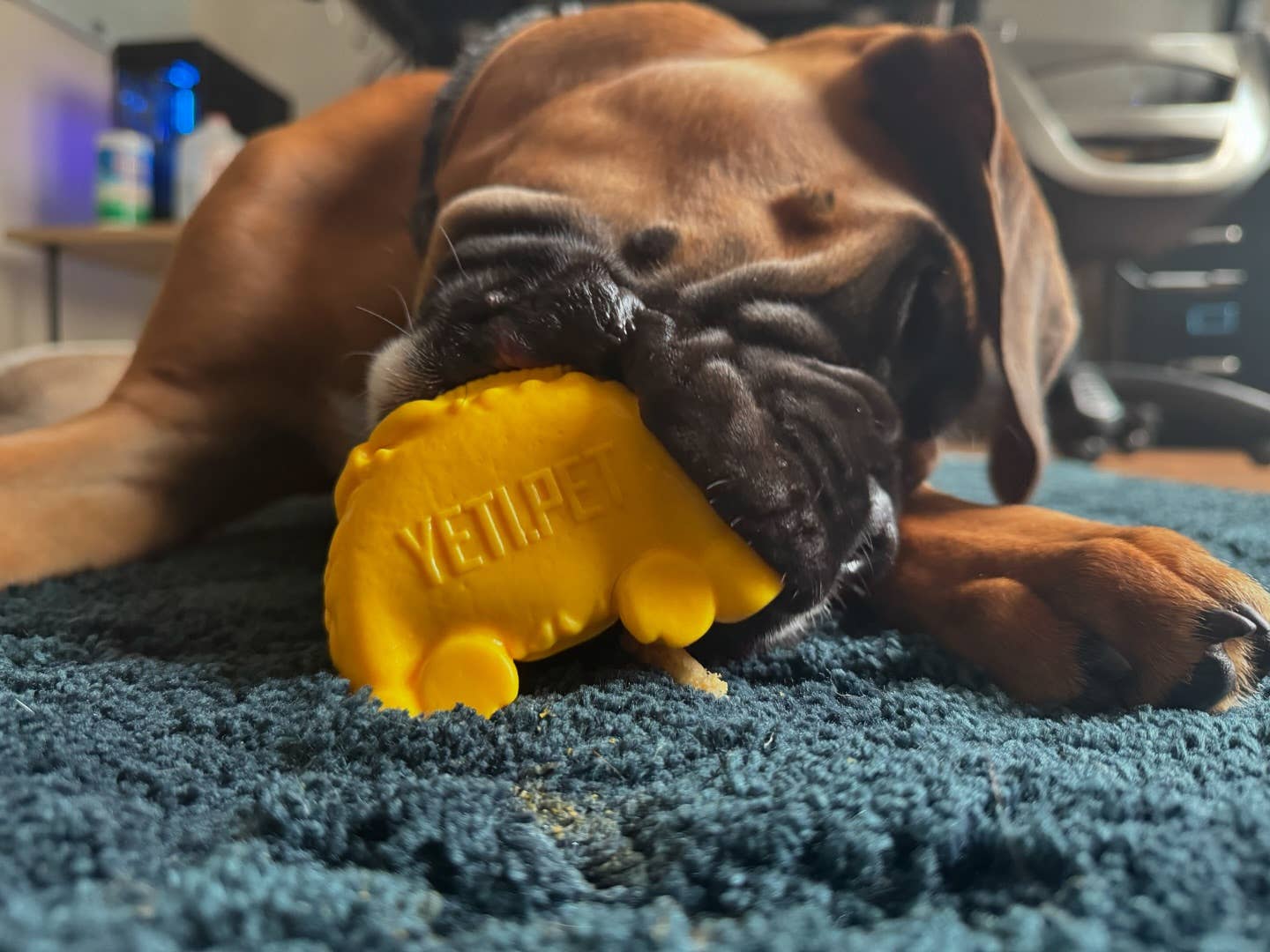 Yeti Dog Chew - Wholesale Pet Chew Toy - Dog - Puff & Play Starter Kit-Yak6