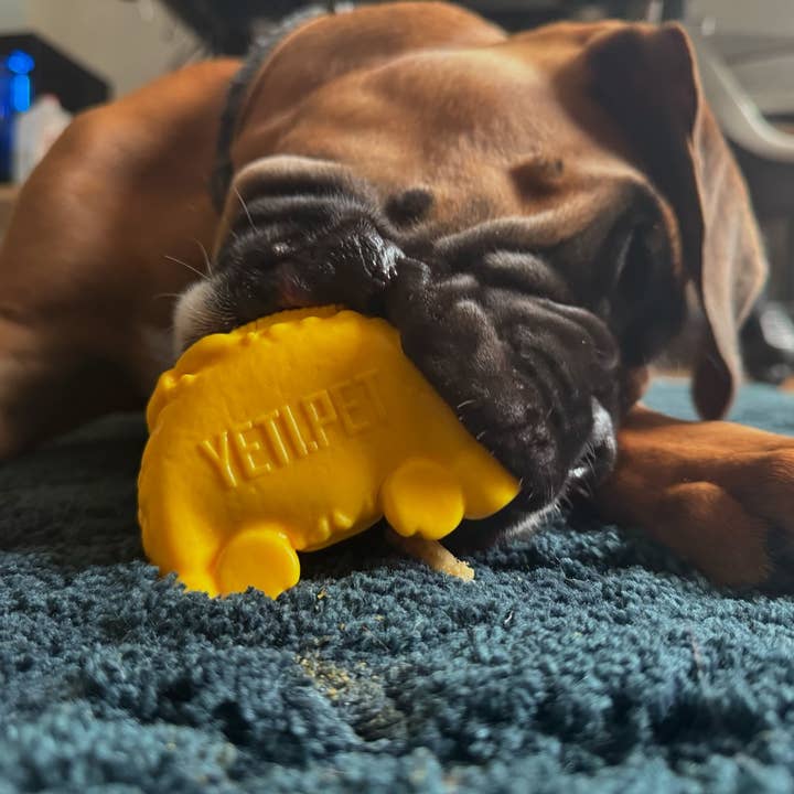 Yeti Dog Chew - Wholesale Pet Chew Toy - Dog - Puff & Play Starter Kit-Yak6