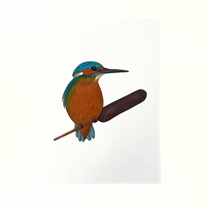Art print 'Kingfisher' for wholesale by studio Pronckstuk