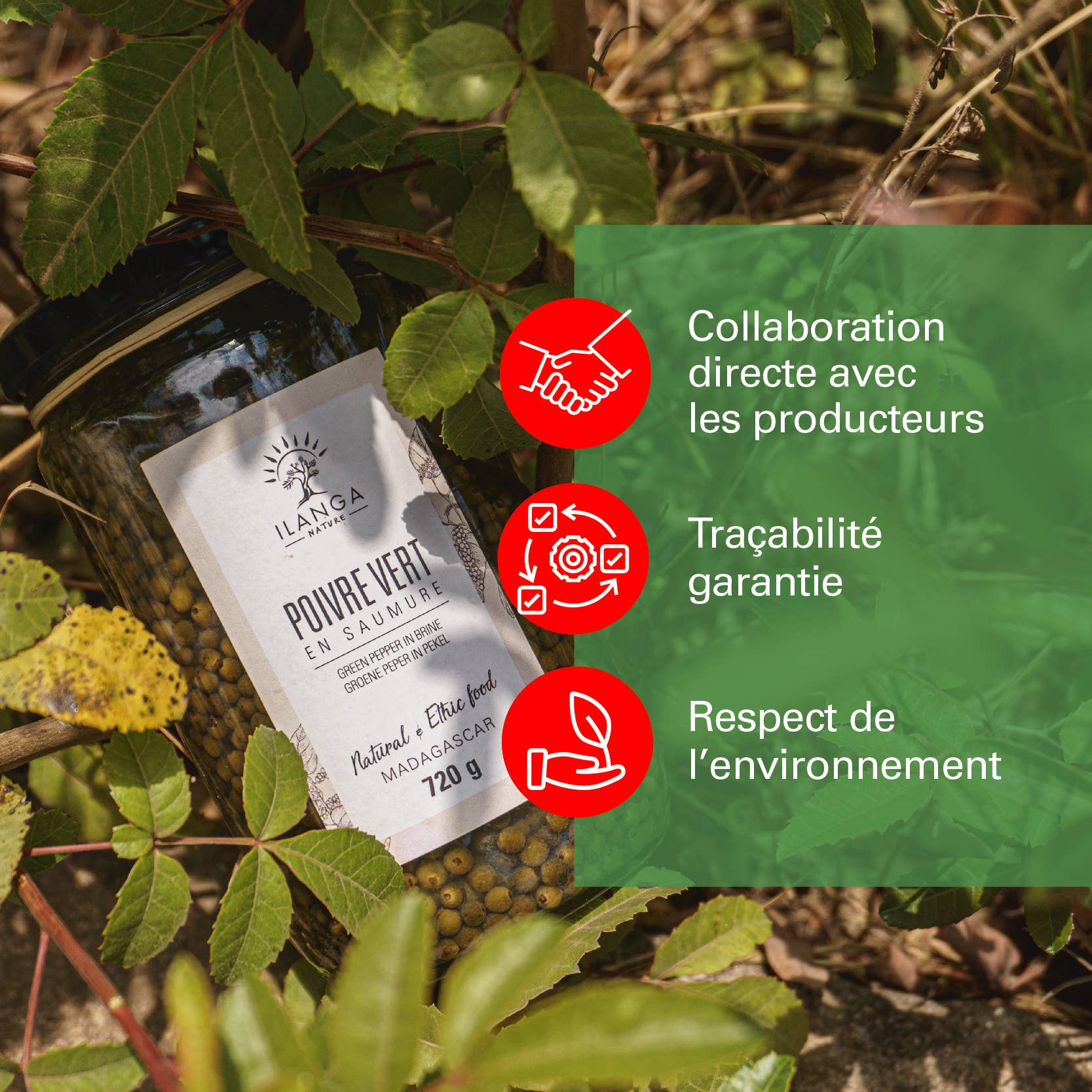 Ilanga Nature - Wholesale Dried Spice - Green Pepper in Brine 720g3