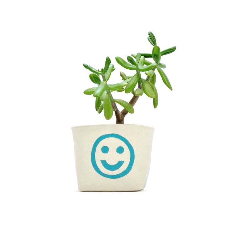 Gray Green Goods – wholesale Plant pot – Smiley Face Blockprint Canvas Planter—4"