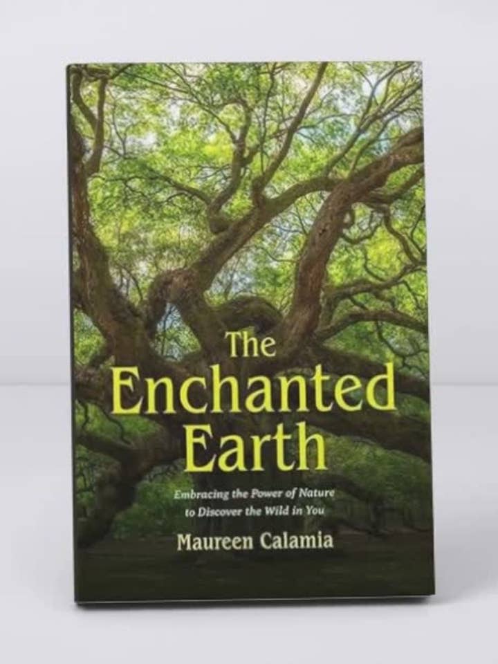The Enchanted Earth for wholesale by Books That Save Lives Publishing
