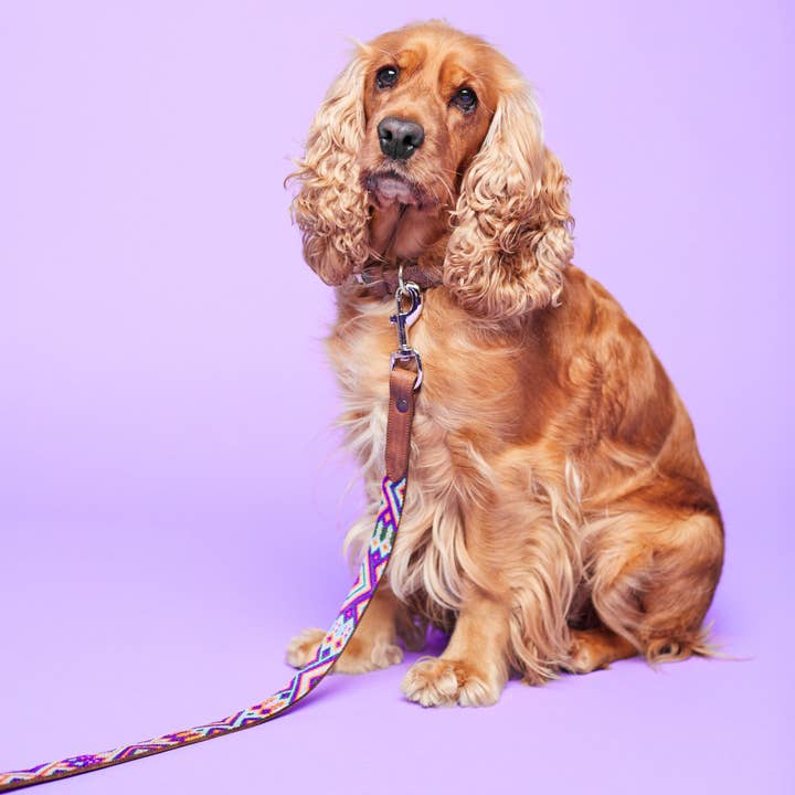 Huatulco Snor for engroshandel hos Paw It Up