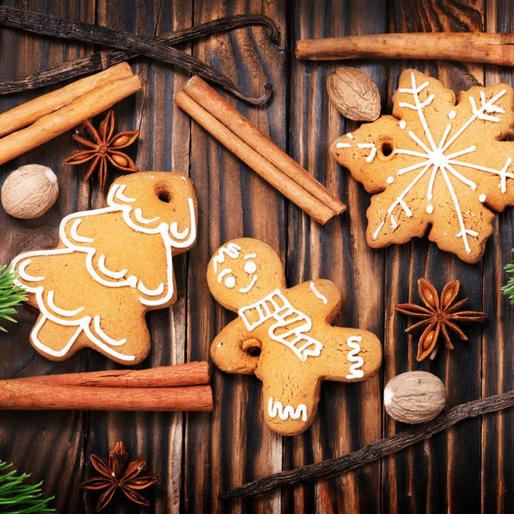 Ginger Spice & All Things Nice Fragrance Oil for wholesale by Craftiful