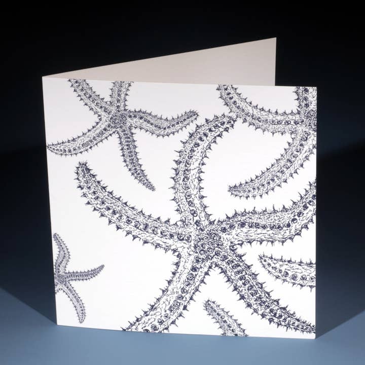 A Galaxy of Starfish Greetings Card for wholesale by Cream Cornwall