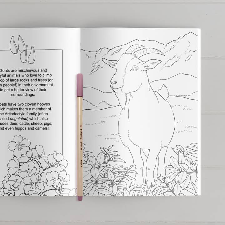 The Snow Finch - Wholesale Colouring book – Adult - Farmyard Friends Coloring Book5
