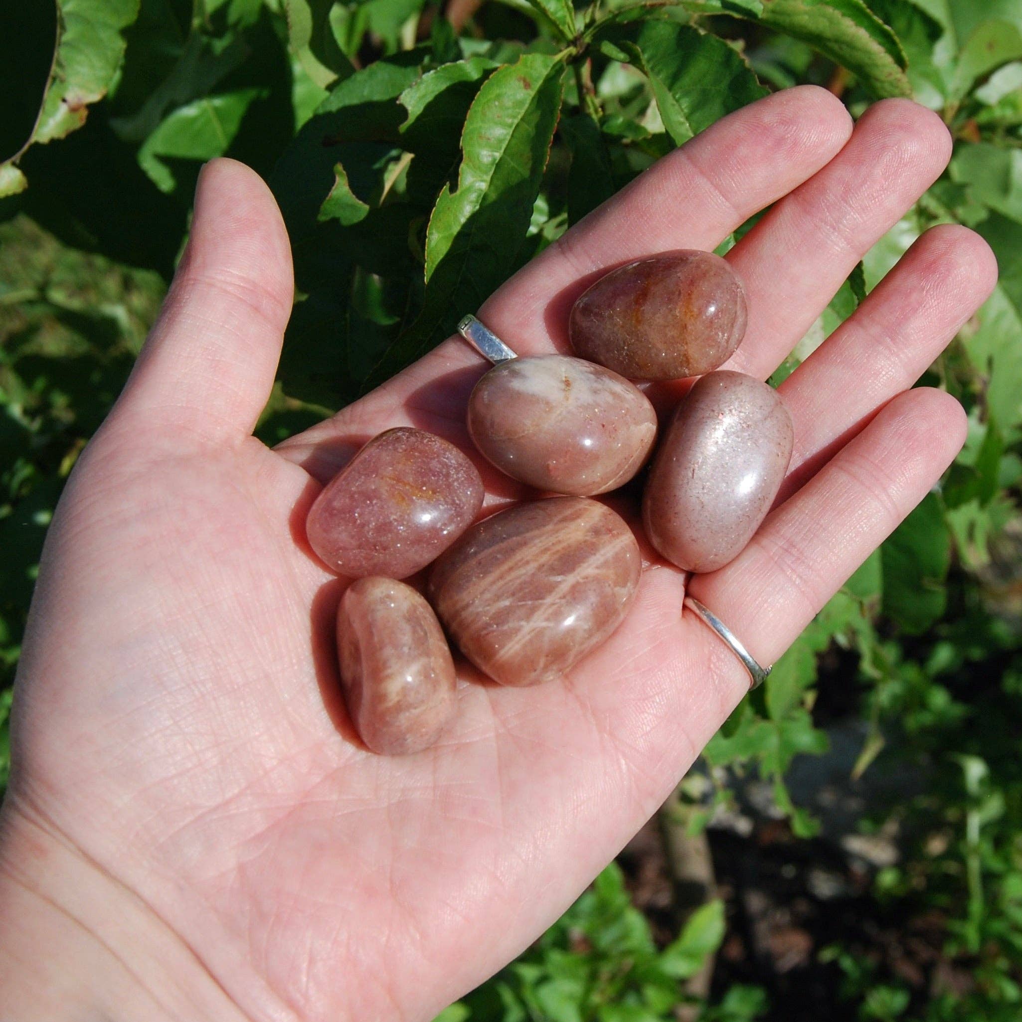 Caspar Curiosities - Wholesale Spiritual Stone/Crystal - AAA Flashy Sunstone Crystal Tumbled Stones, India1