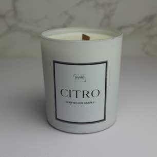 Vela Citro por atacado de Dandy Lux