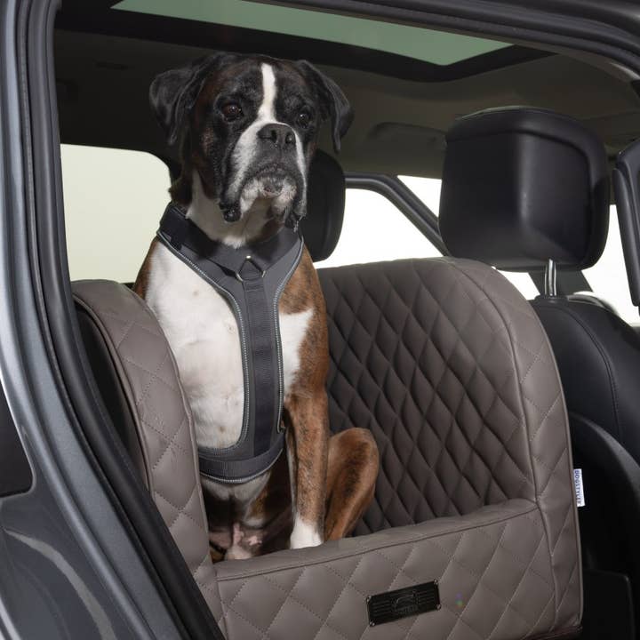 Sedile Auto Premium - Classico per la vendita all'ingrosso da parte di Dogstyler